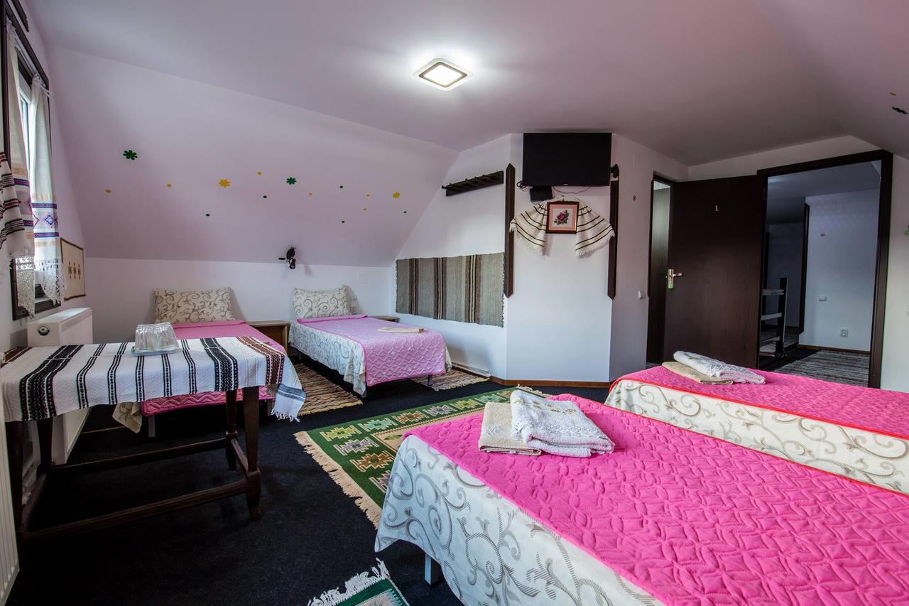 Casa Lia Hotel Valea Putnei Exterior foto
